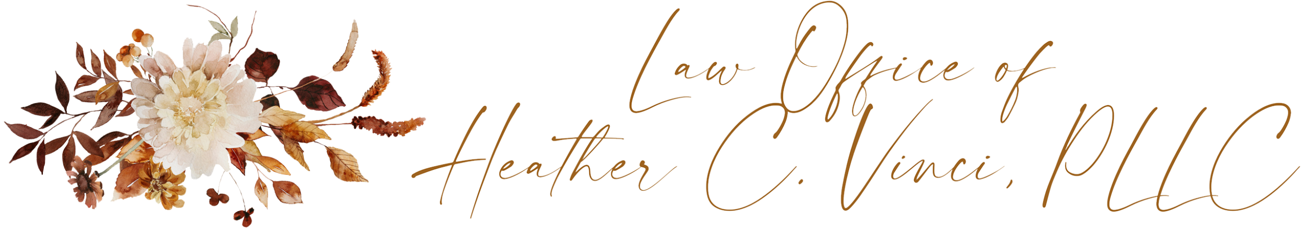 Law Office Heather C Vinci